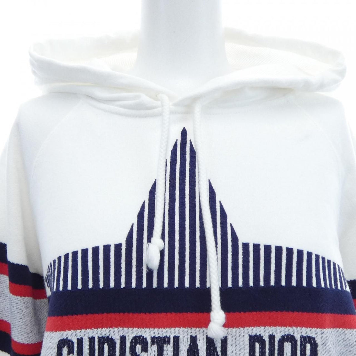 Dior Alps Hoodie White — view 5
