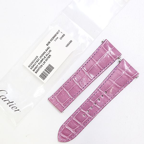 Cartier Santos LM Leather Strap Purple Color 21 Watch