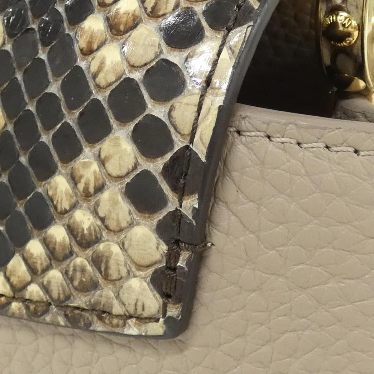 Louis Vuitton Exotic Leather Capucines Bag — view 4