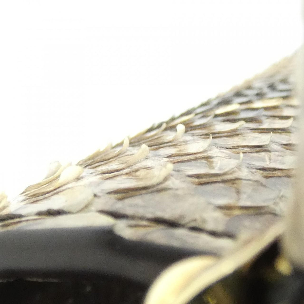 Louis Vuitton Exotic Leather Capucines Bag — view 5