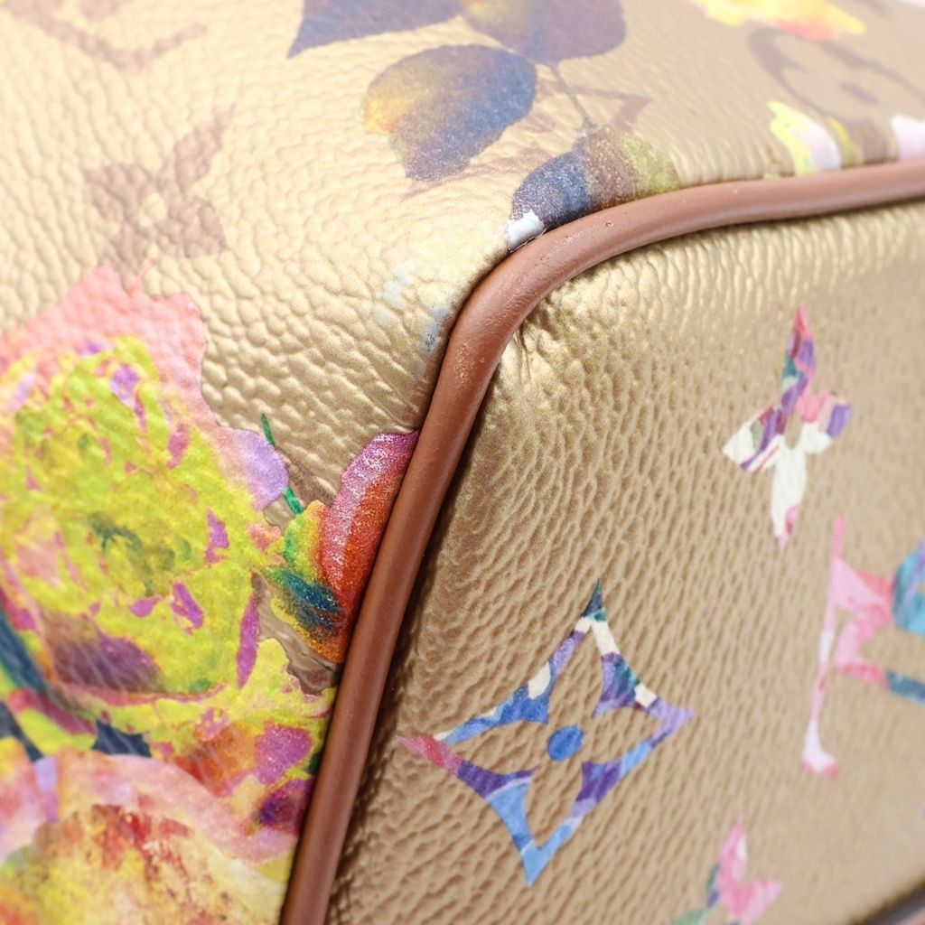 Louis Vuitton LV Garden Speedy 25 Bandouliere Handbag 2-Way Shoulder Leather — view 5
