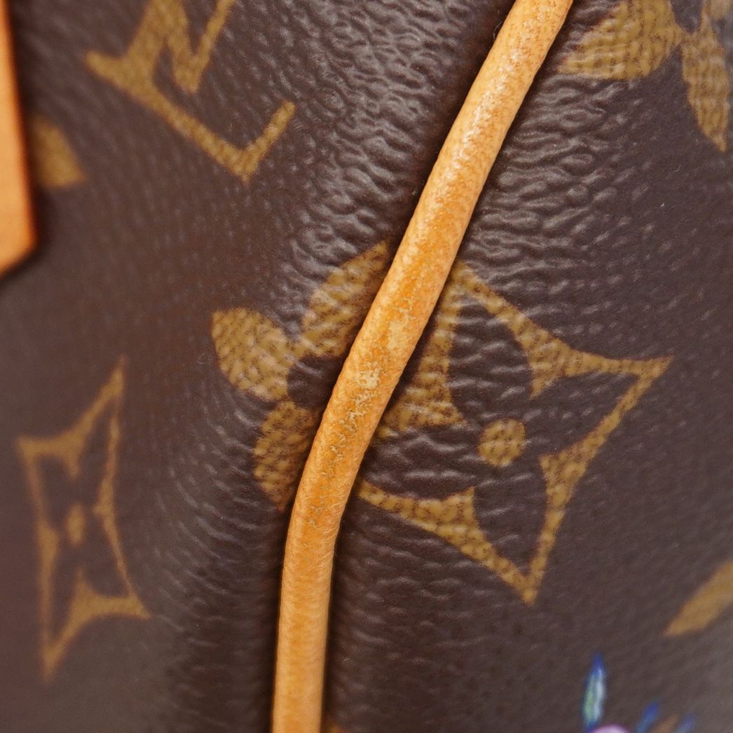 Louis Vuitton Handbag Monogram Super Flat Takashi Murakami Collaboration Speedy — view 6