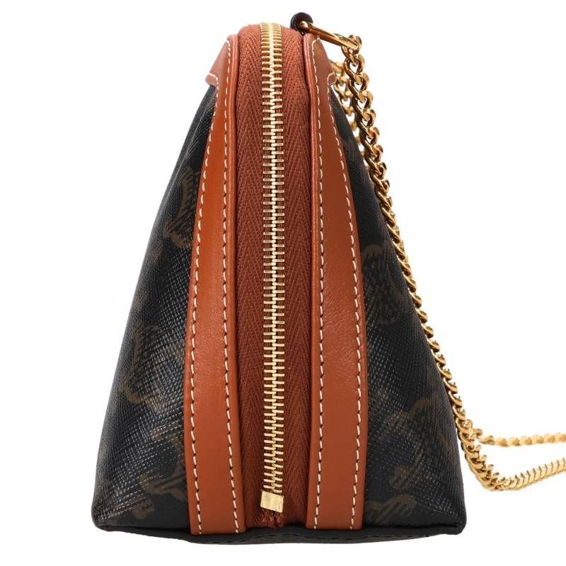 Celine Triomphe Canvas Chain Clutch — view 5
