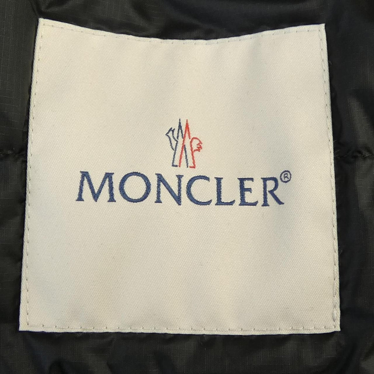 Moncler Avoine Down Jacket — view 6