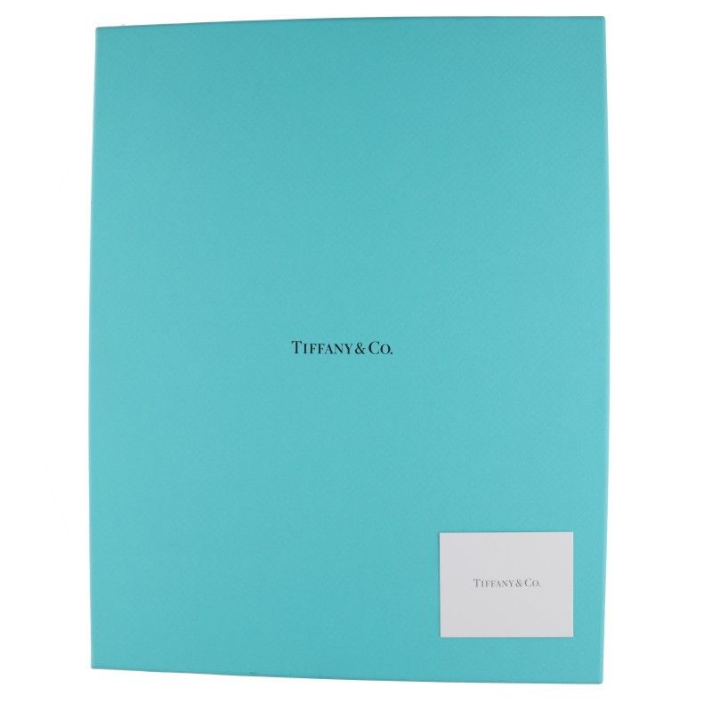 Tiffany & Co HardWear Microlink Necklace — view 5