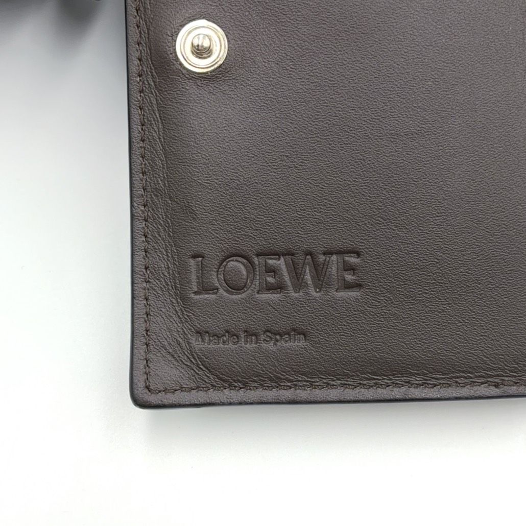Loewe Futurist Cat Compact Leather Orange Dark Brown Wallet Silver — view 4