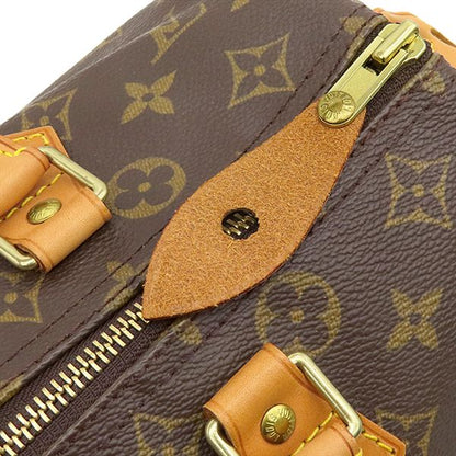 Louis Vuitton Handbag Speedy 30 Monogram Canvas Gold Mini — view 7