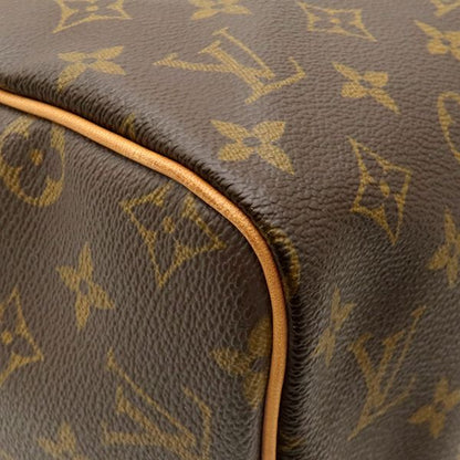 Louis Vuitton Handbag Speedy 30 Monogram Canvas Gold Mini — view 4