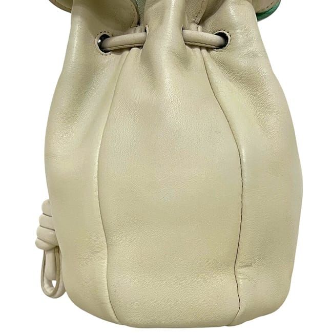 Loewe Mini Shoulder Bag Pochette Flower Flamenco Leather Ivory Multicolor — view 6