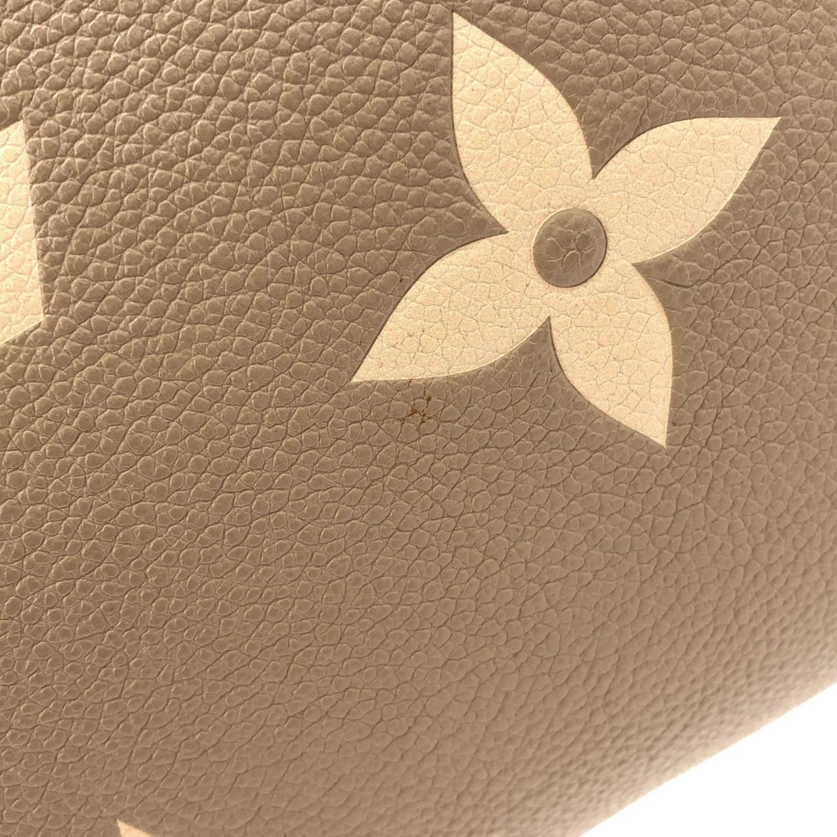 Louis Vuitton Bicolor Monogram Empreinte On The Go MM Bag — view 4