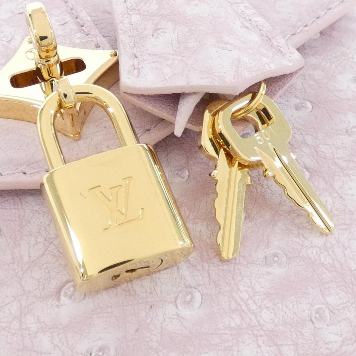 Louis Vuitton Exotic Leather Rose Des Vins Bag — view 4