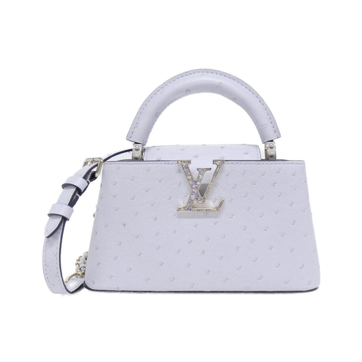 Louis Vuitton Exotic Leather Capucines East West Bag