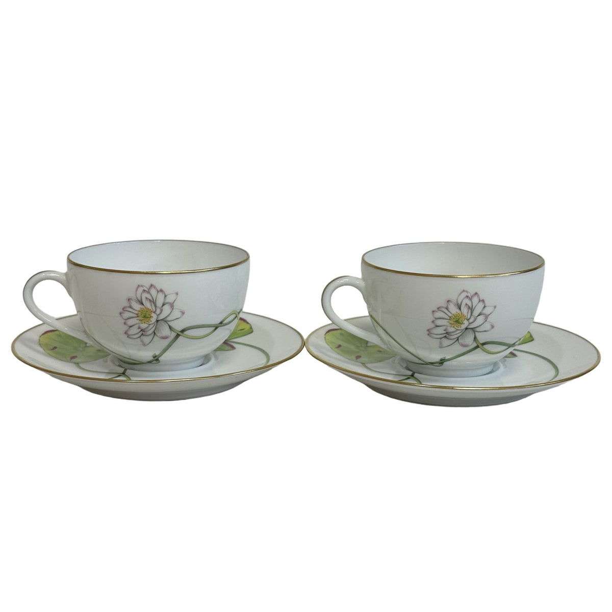 Hermes Nile Garden Un Jardin Sur le Nil Ceramic Porcelain Cup & Saucer Tea Cup