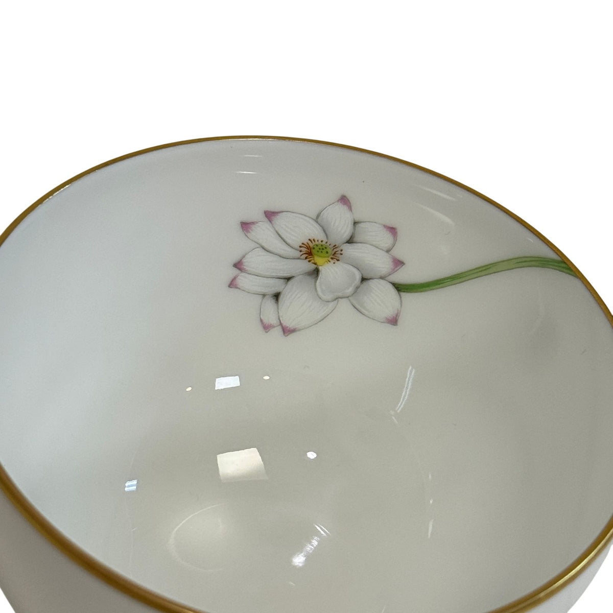 Hermes Nile Garden Un Jardin Sur le Nil Ceramic Porcelain Cup & Saucer Tea Cup — view 7