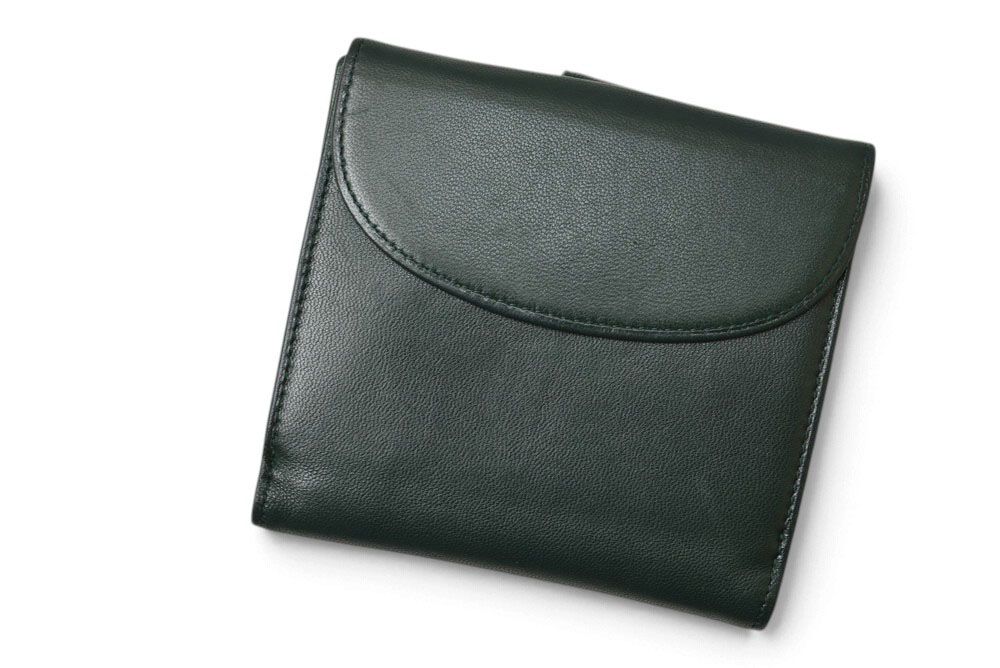 Loewe Bifold Wallet Vintage Anagram Logo Lambskin Deep Green — view 3