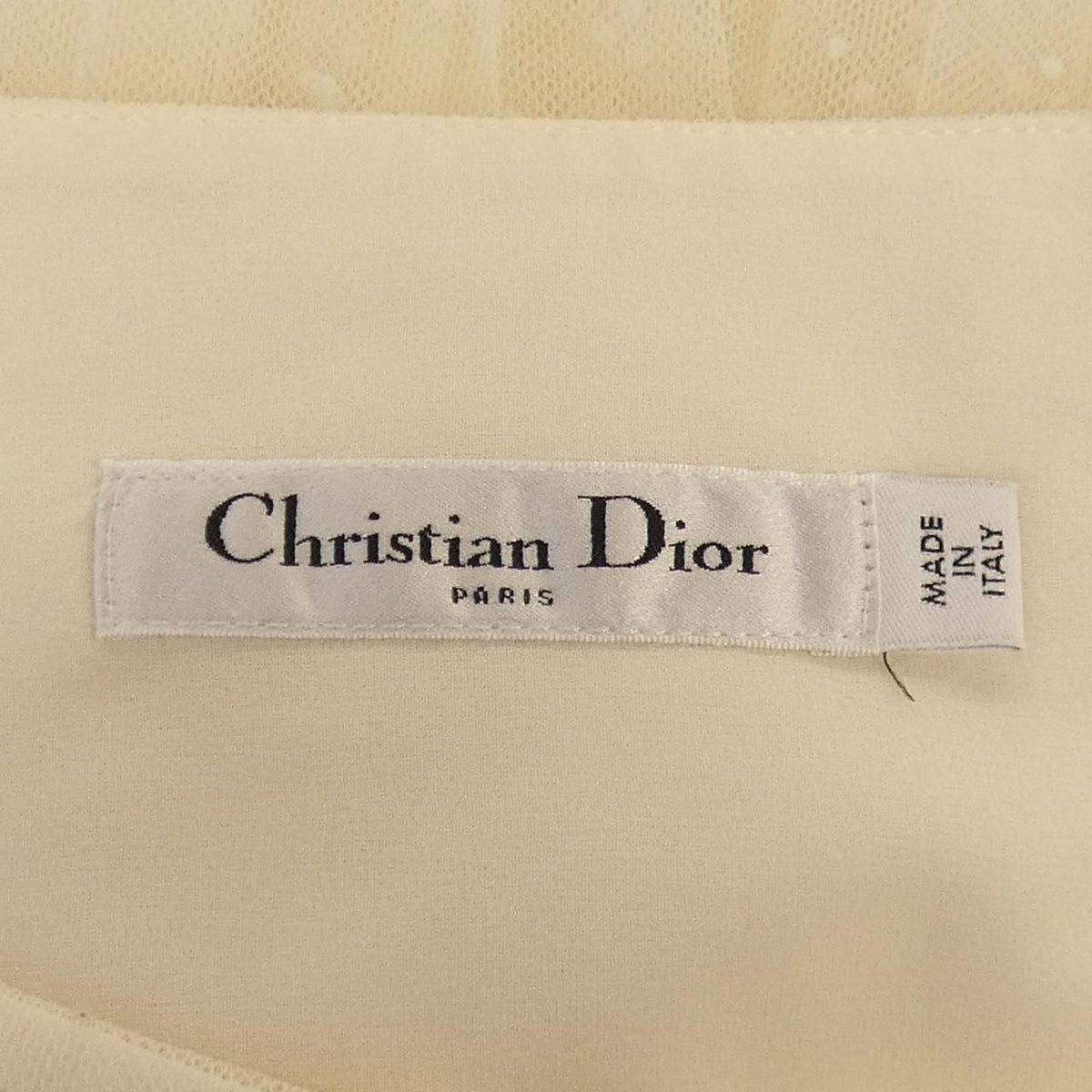 Dior Pleated Midi Skirt Plume Tite Tulle — view 4
