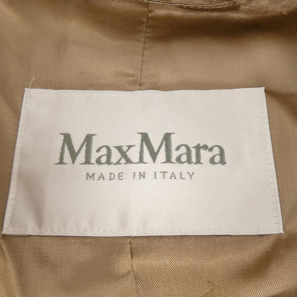 Max Mara Teddy Bear Coat — view 4
