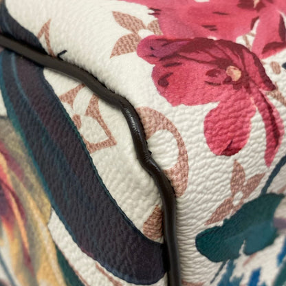 Louis Vuitton Handbag Monogram Eden Speedy Soft 30 — view 7