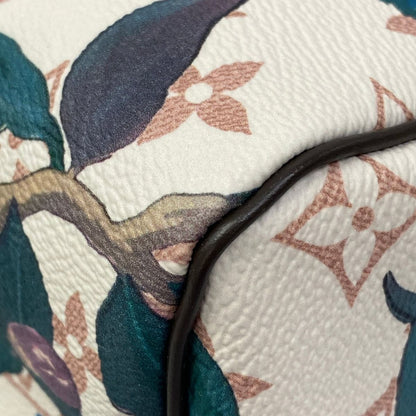 Louis Vuitton Handbag Monogram Eden Speedy Soft 30 — view 8