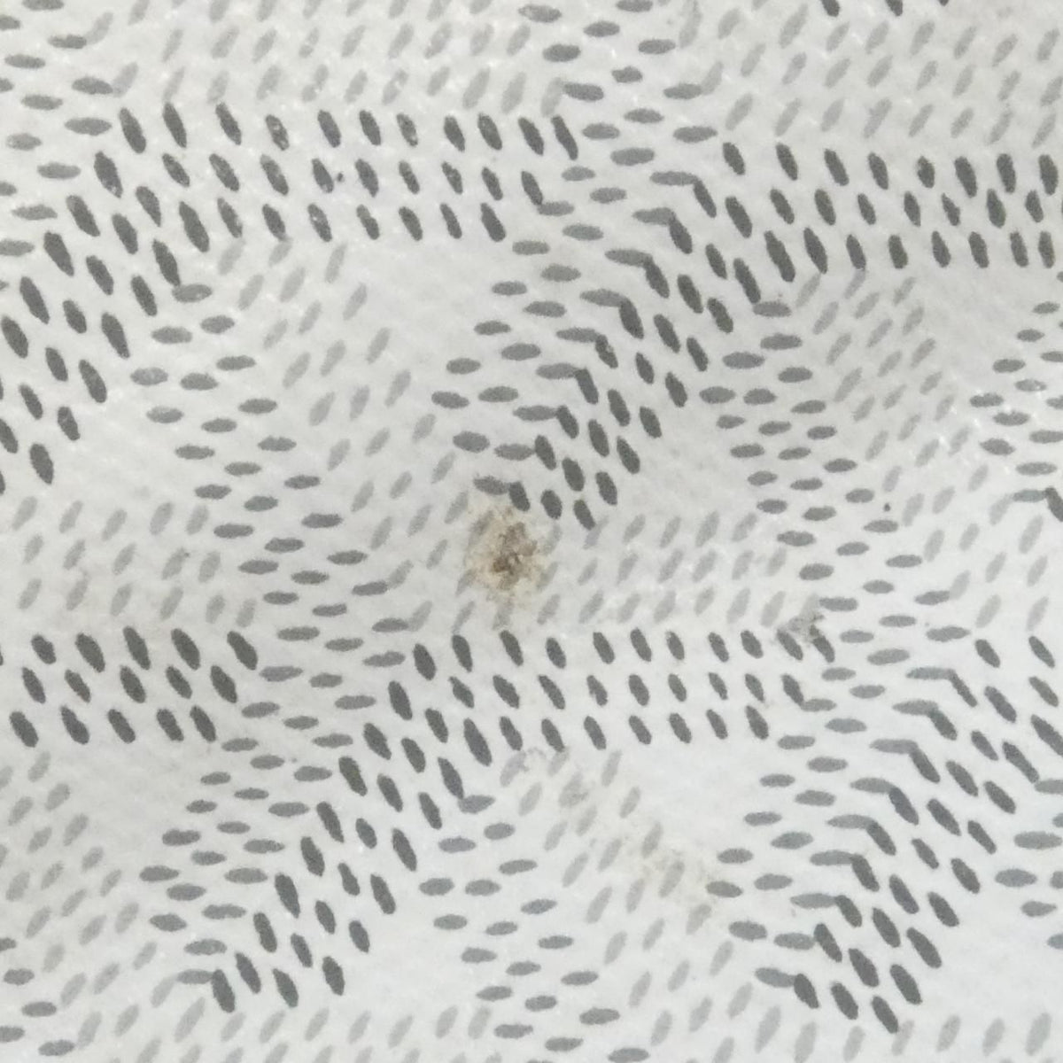 Goyard Saint Louis PM Ama Bag — view 3