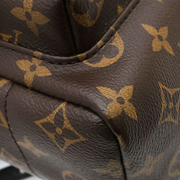 Louis Vuitton Monogram Palm Springs Backpack — view 7