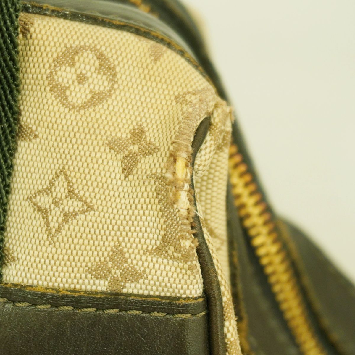 Louis Vuitton Handbag Monogram Mini Josephine PM Khaki — view 6