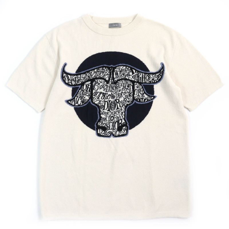 DIOR Christian DIOR Shawn Stussy DIOR Homme Shawn Stussy 20AW 183m649at850 Blue Embroidery