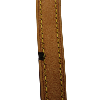 Louis Vuitton M51234 Chien Ti PM Shoulder Bag with Damage A25-1957