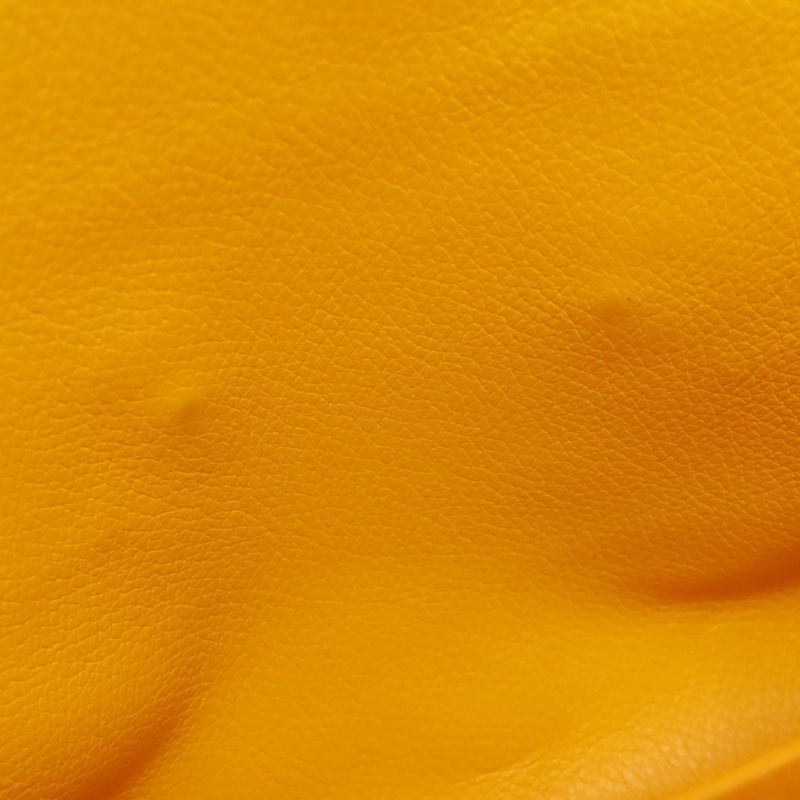 Goyard Saigon Mini 2-way Handbag Coated Canvas Calf Women