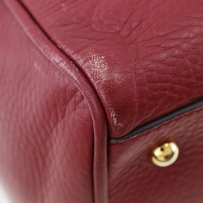 Loewe 2WAY Shoulder PIEL Vacuna Cowhide 318.32c86 Leather Red Ladies Handbag