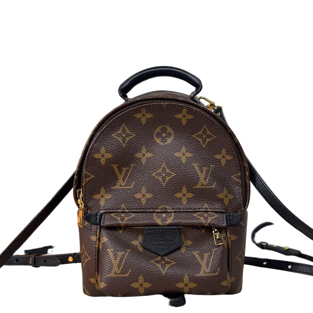 Louis Vuitton Palm Springs Mini Backpack Monogram