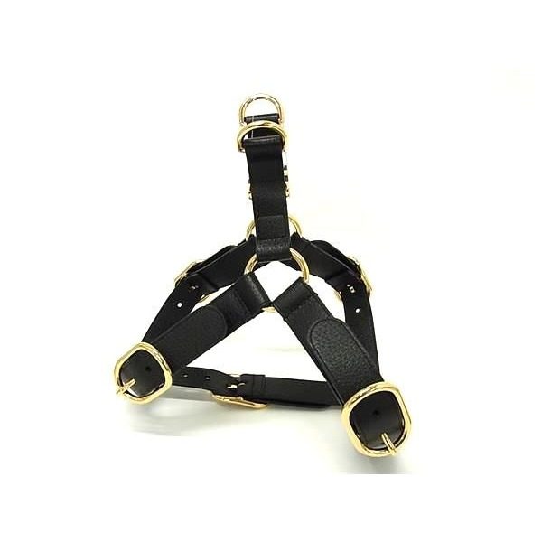 Gucci Interlocking Small Pet Harness for Dogs Pet Supplies Leather Black Pet — view 3