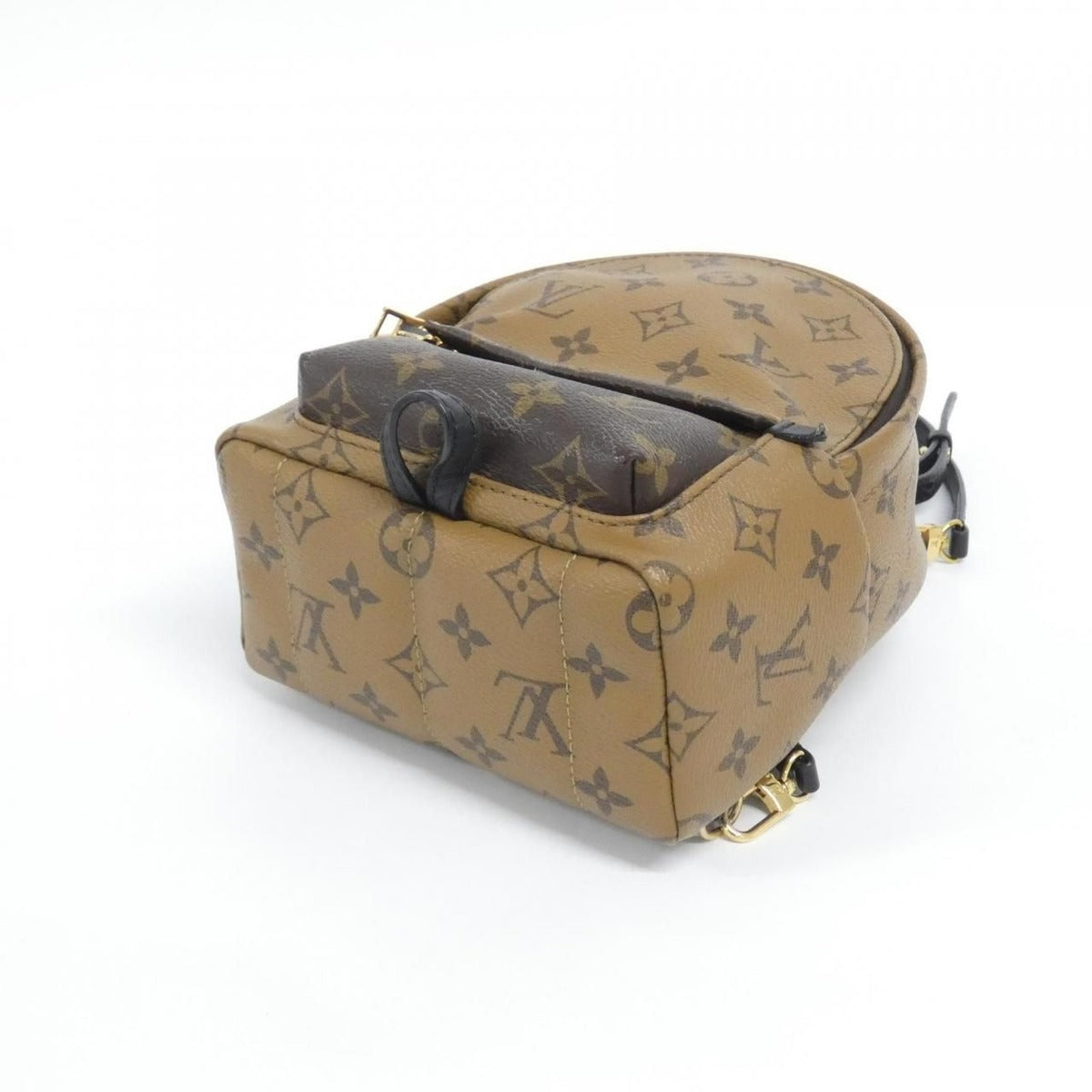 Louis Vuitton Monogram Reverse Palm Spring Backpack Mini Sac — view 3