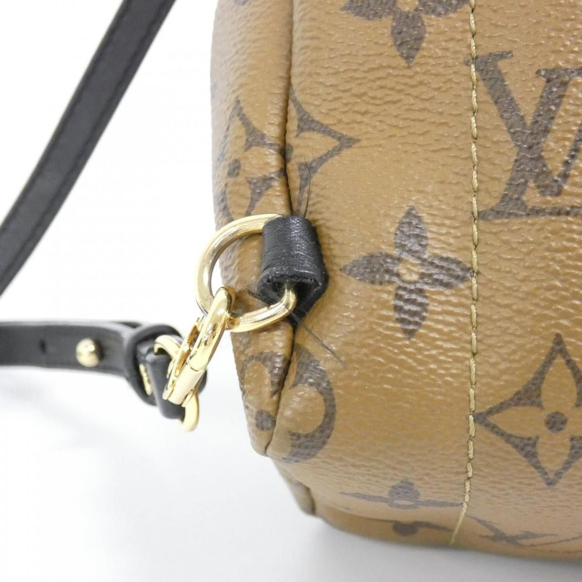 Louis Vuitton Monogram Reverse Palm Spring Backpack Mini Sac — view 7