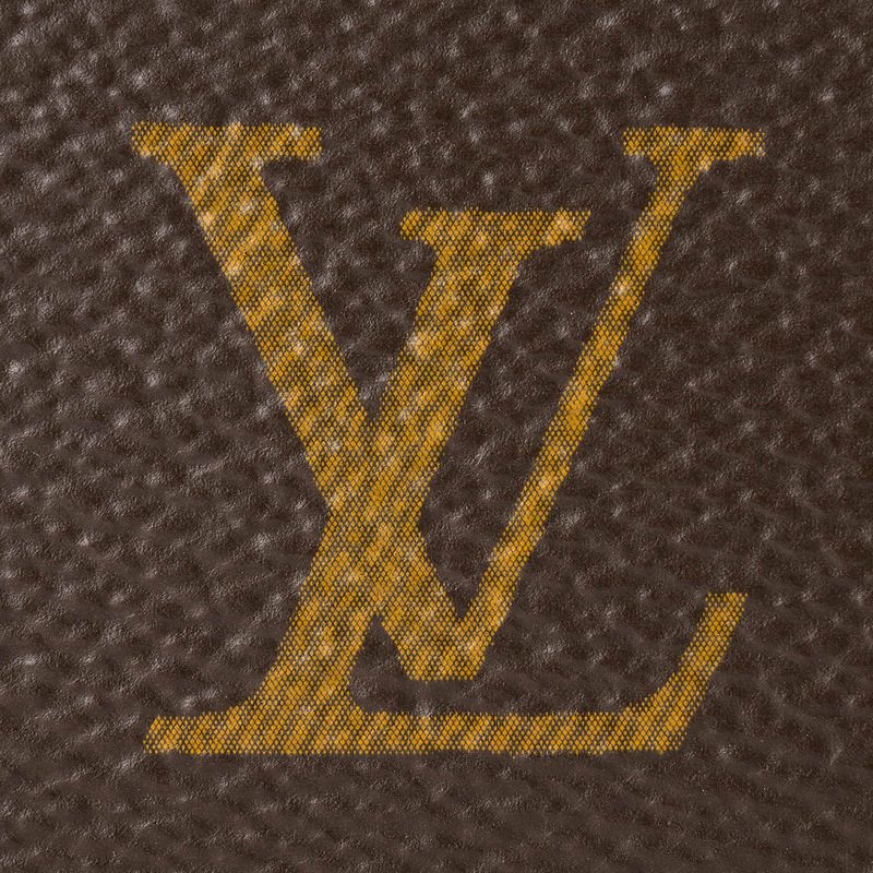 Louis Vuitton Handbag Dauphine Soft GM Brown