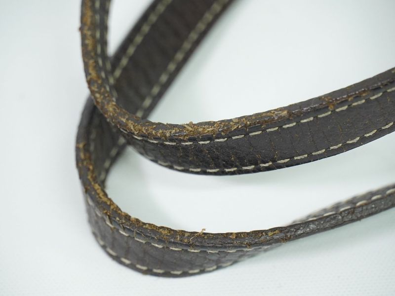 Authentic Louis Vuitton LV Bucket PM Monogram Mini Lin Shoulder Bag Tote Bag