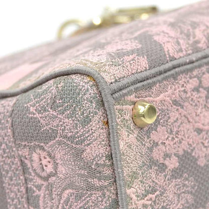 Christian DIOR Shoulder Bag Handbag Lady D-light