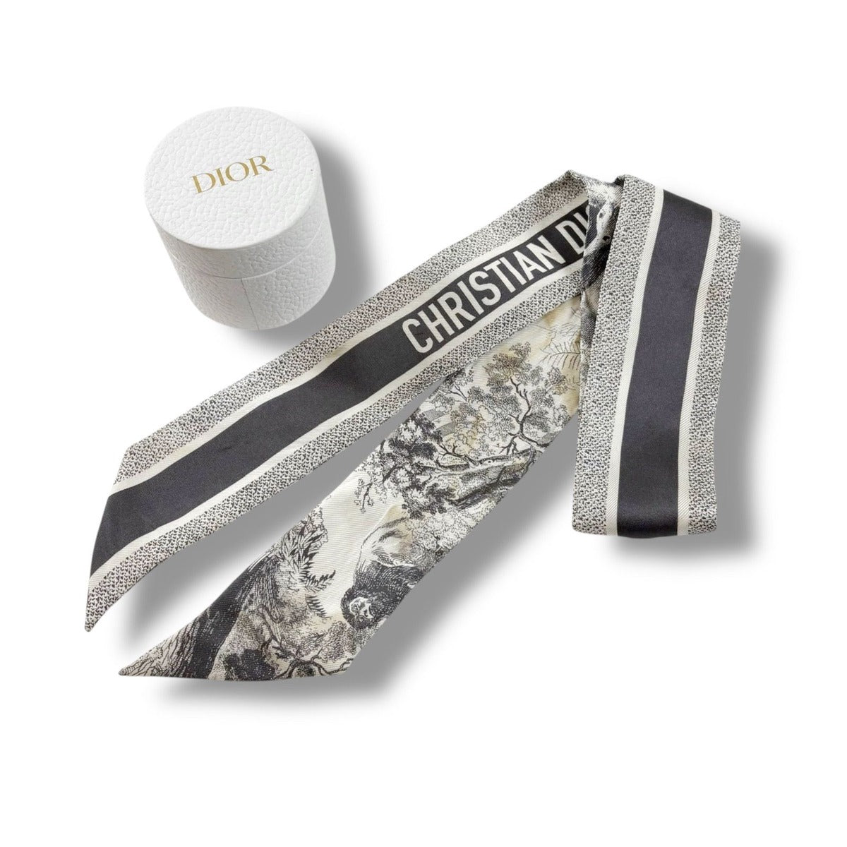Dior Mizza Toile de Jouy Sauvage Scarf — view 11