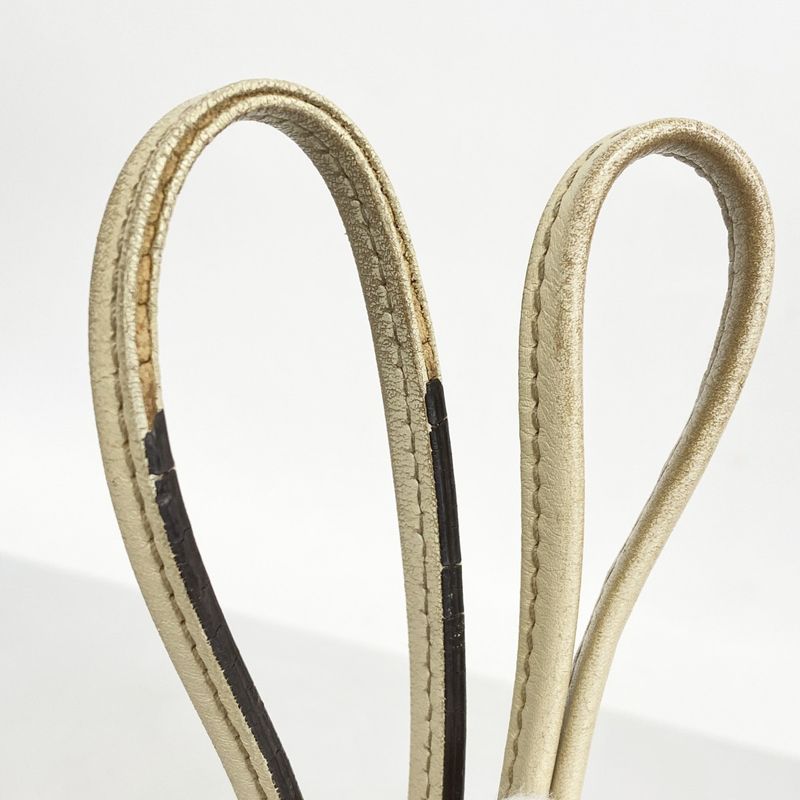 Gucci Tote Bag GG Canvas 169946 Canvas Brown Chien Pan Gold Hardware Women's