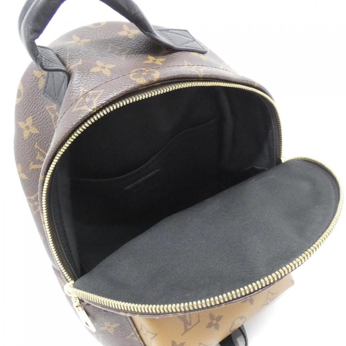 Louis Vuitton Monogram Reverse Palm Springs Backpack PM — view 6