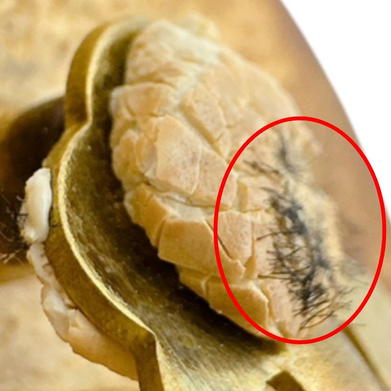 Chanel Vintage Large Earrings Circle Earrings Chanel Gold