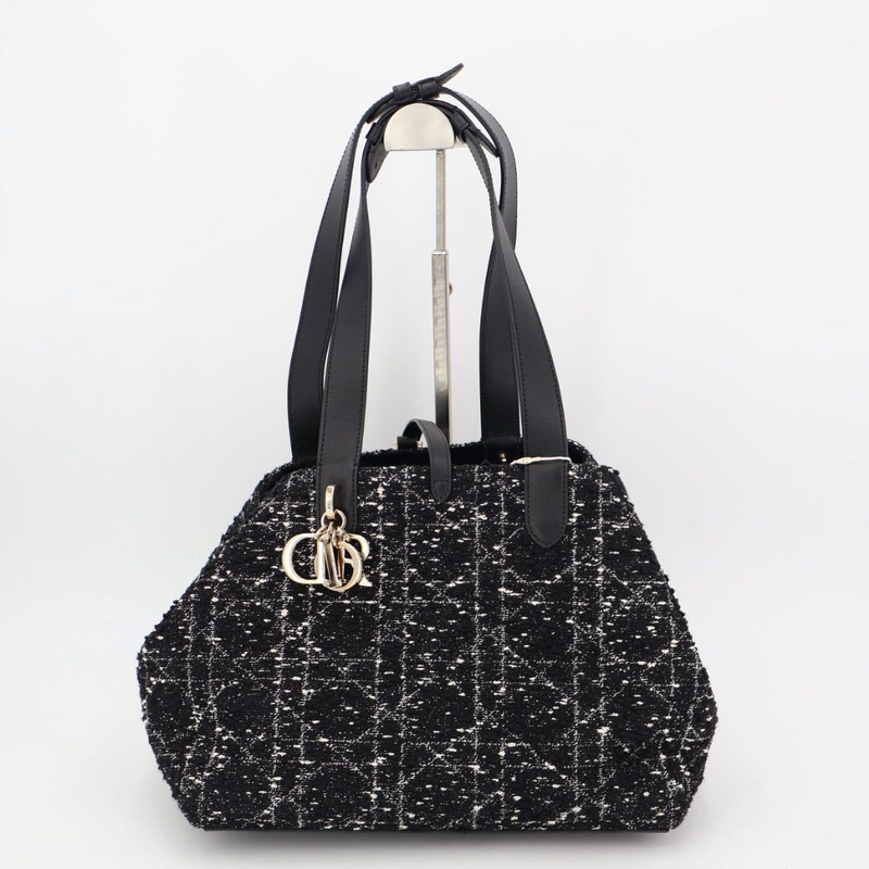 Christian DIOR Handbag Canage Toujours