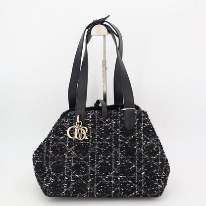 Christian DIOR Handbag Canage Toujours