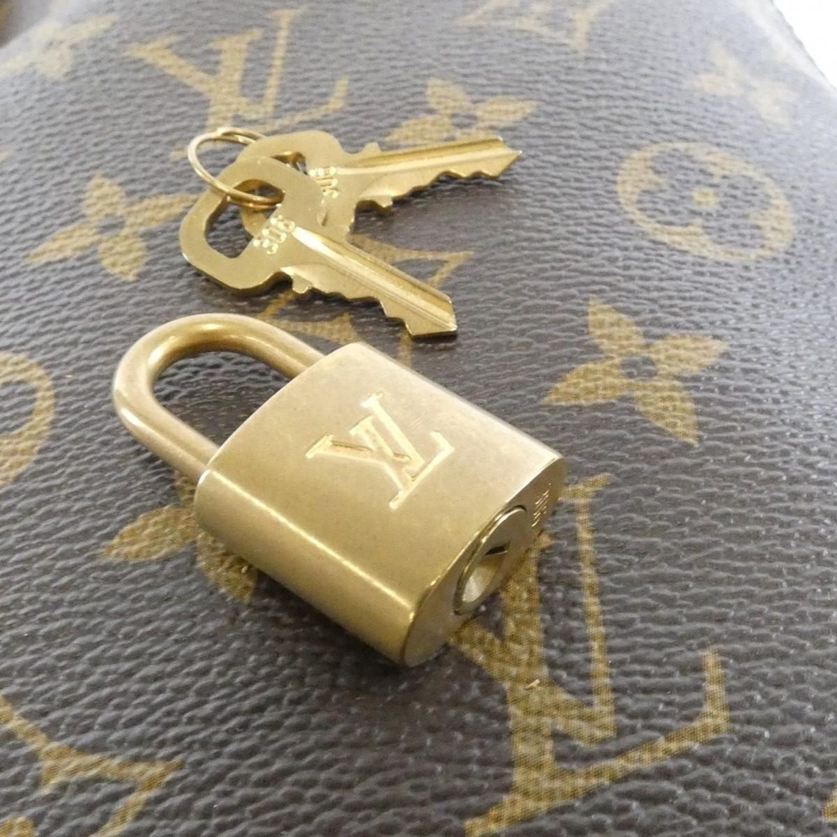 Louis Vuitton Monogram Perforated Shoulder Bag — view 4