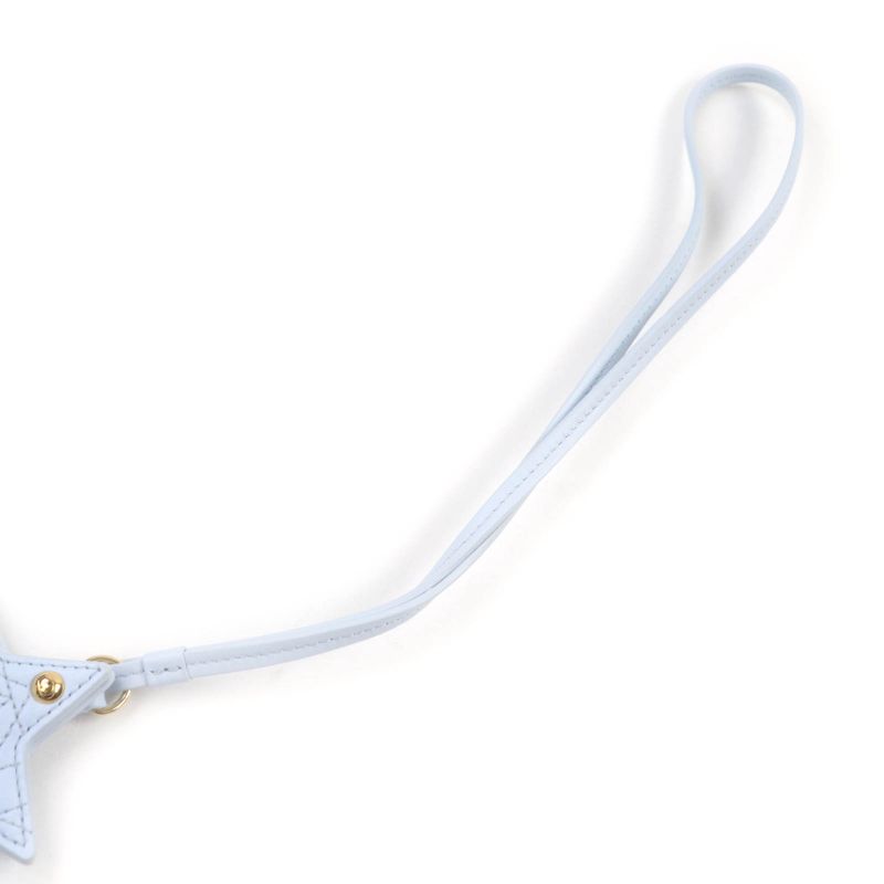 Christian DIOR 25SS V1577womlm Logo Leather Bag Charm With Star Mirror Light