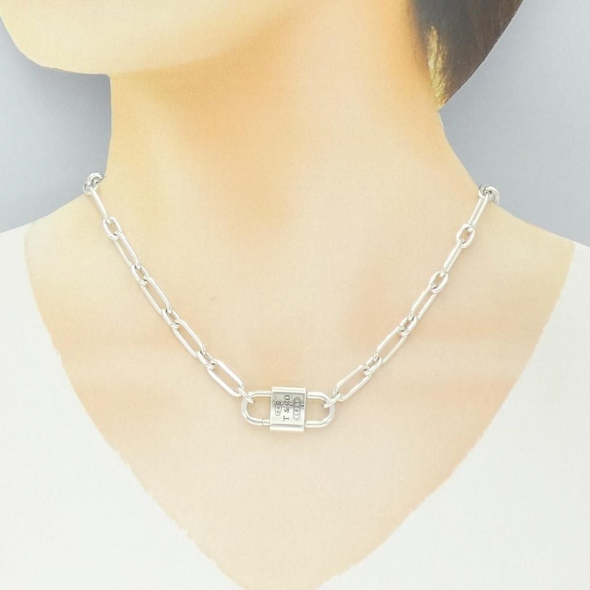 Tiffany & Co Double Lock Necklace — view 6