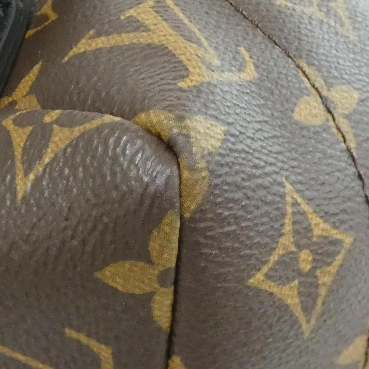 Louis Vuitton Monogram Palm Spring Backpack MM Sac — view 3