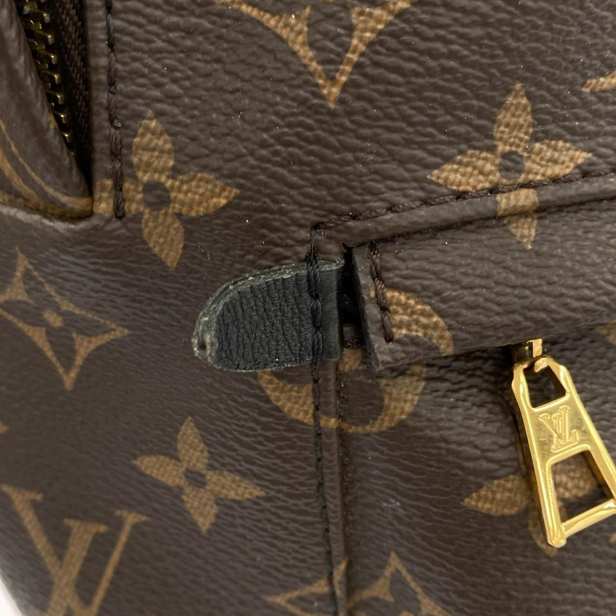 Louis Vuitton Monogram Palm Spring Backpack PM Sac — view 5