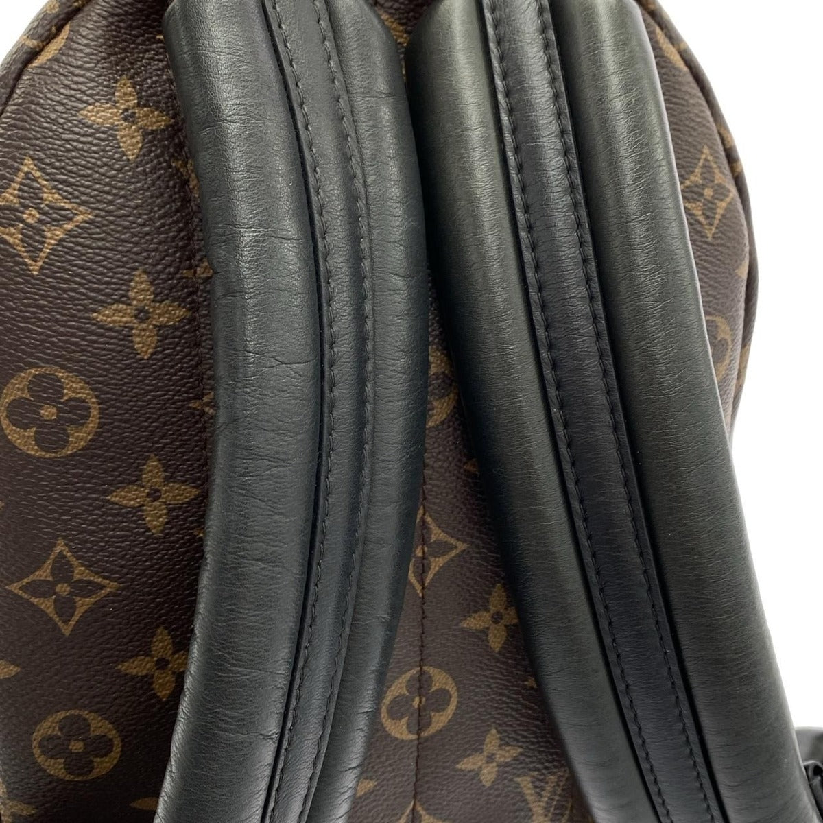 Louis Vuitton Monogram Palm Spring Backpack PM Sac — view 7