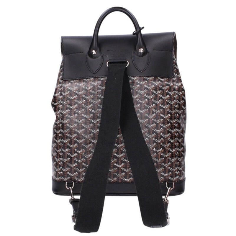 Goyard Alpin MM Pvcleather Erinborn 2-way Backpack Men's MM